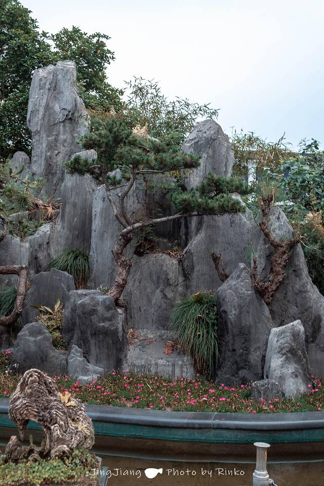 寻味泰州美食绘画,手绘靖江