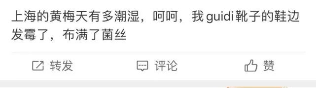 车发霉进icu,车子室内发霉