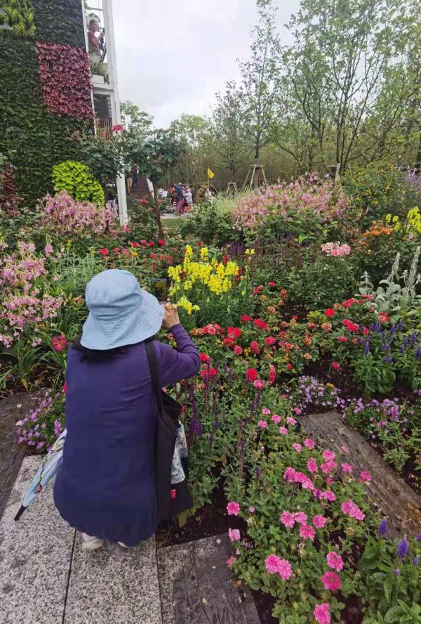 五一游花博会攻略,花展怎么玩