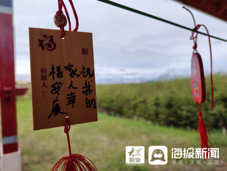 又见刚察｜这就是“聊城力量”！实拍沙柳河畔大美风光，再现“湟鱼洄游”奇景