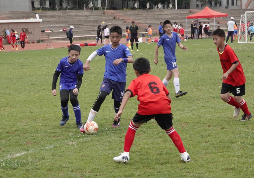 2024盘龙区小学生足球赛,2021盘龙区小学生u系列足球赛