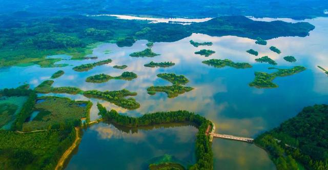 一只虾引发的故事,一只虾引起的矛盾