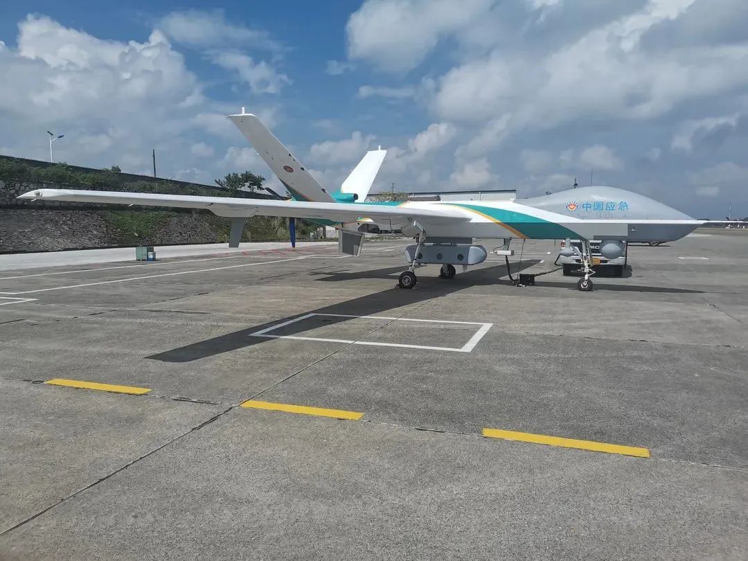 很多的翼龙,现在的翼龙