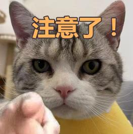 厦门民办学生怎么能转进公办小学,厦门岛内民办小学怎么升入初中