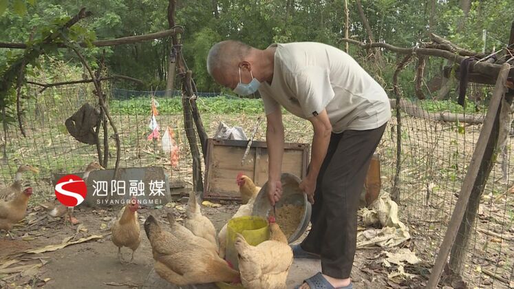 泗阳微服务平台,泗阳志愿者服务平台