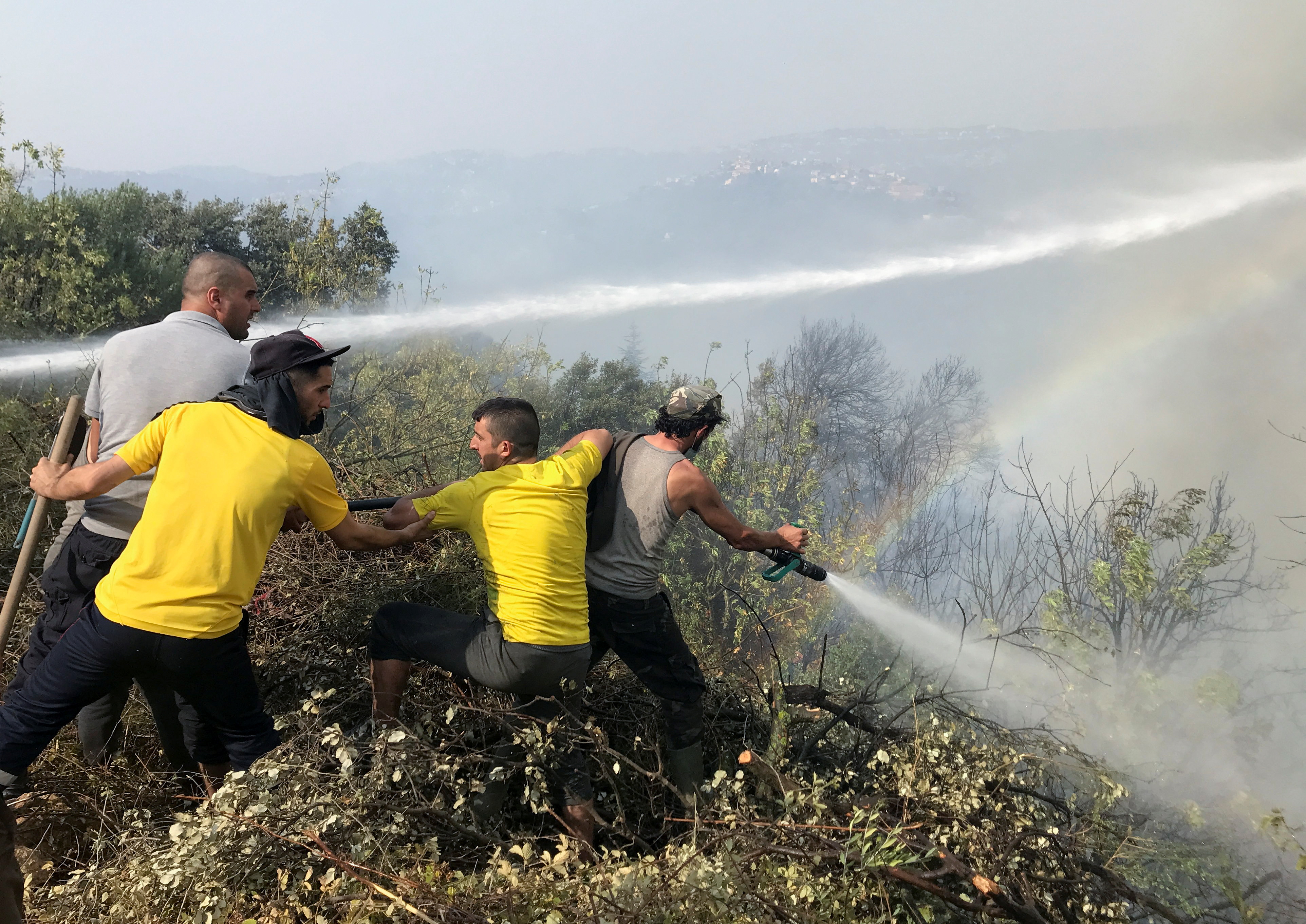 阿尔及利亚发生森林大火,阿尔及利亚发生森林大火原因