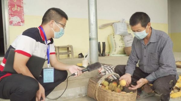 急!漳河镇40万斤果蔬急盼销路