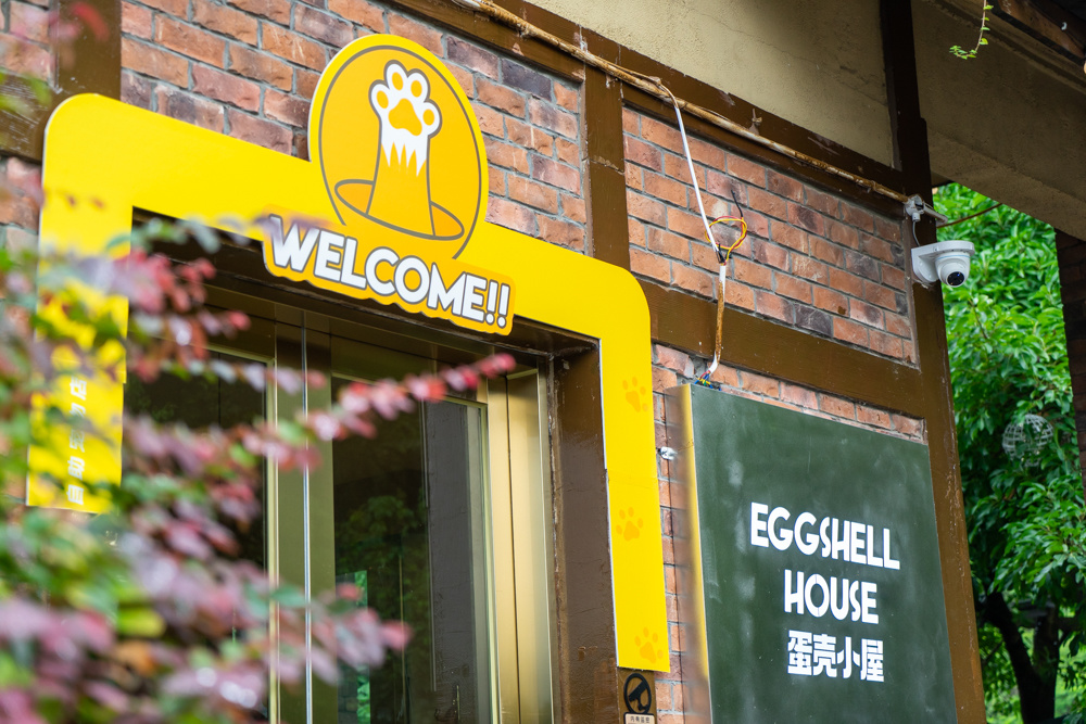 成都现24小时自动洗宠店,爱宠及宠24小时自助洗宠优惠