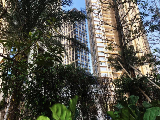 深圳德润局中局：华润、平安、华融轮番入套