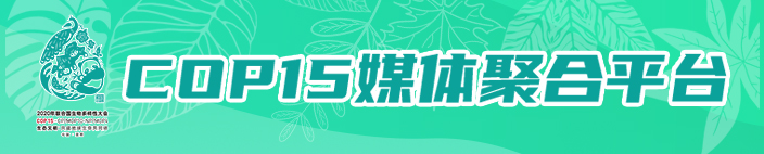 COP15遇见昆明|640年匠心传承中华老字号昆中药的新使命