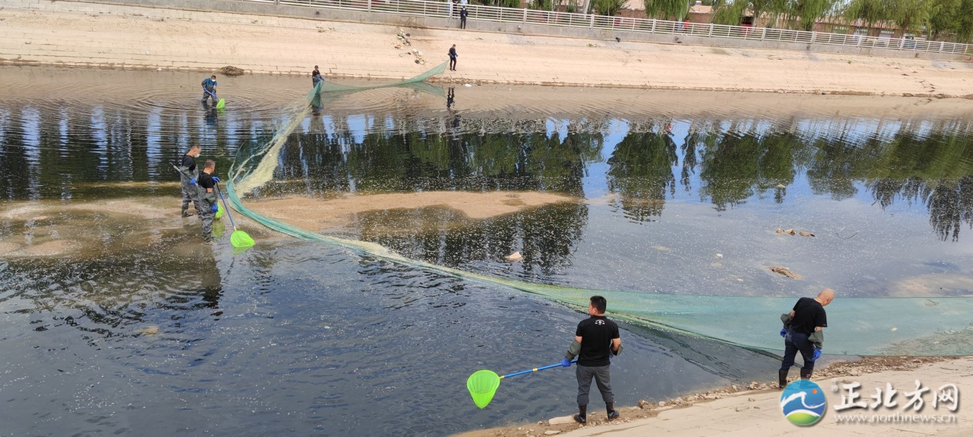 永济渠临河段的臭味源自河蚌？