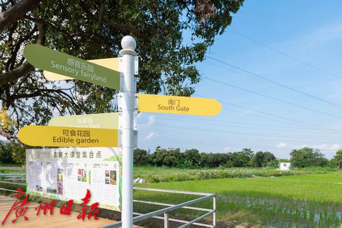 广州海珠区农田园,广州大都市农业园