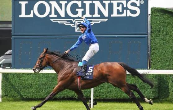 世界排行榜前十种马,世界十大马匹品种