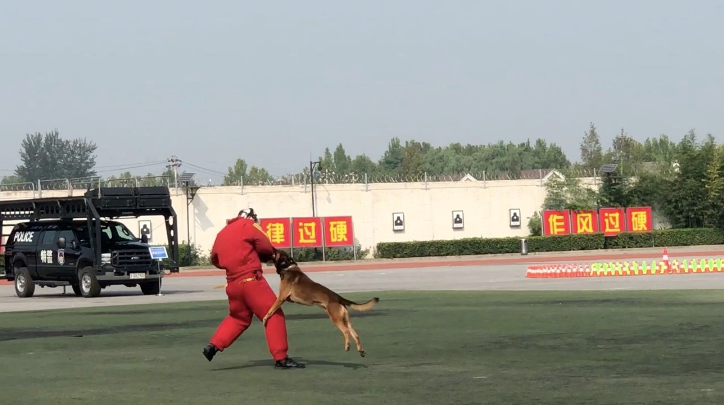 北京警察开放日,公安特警开放日