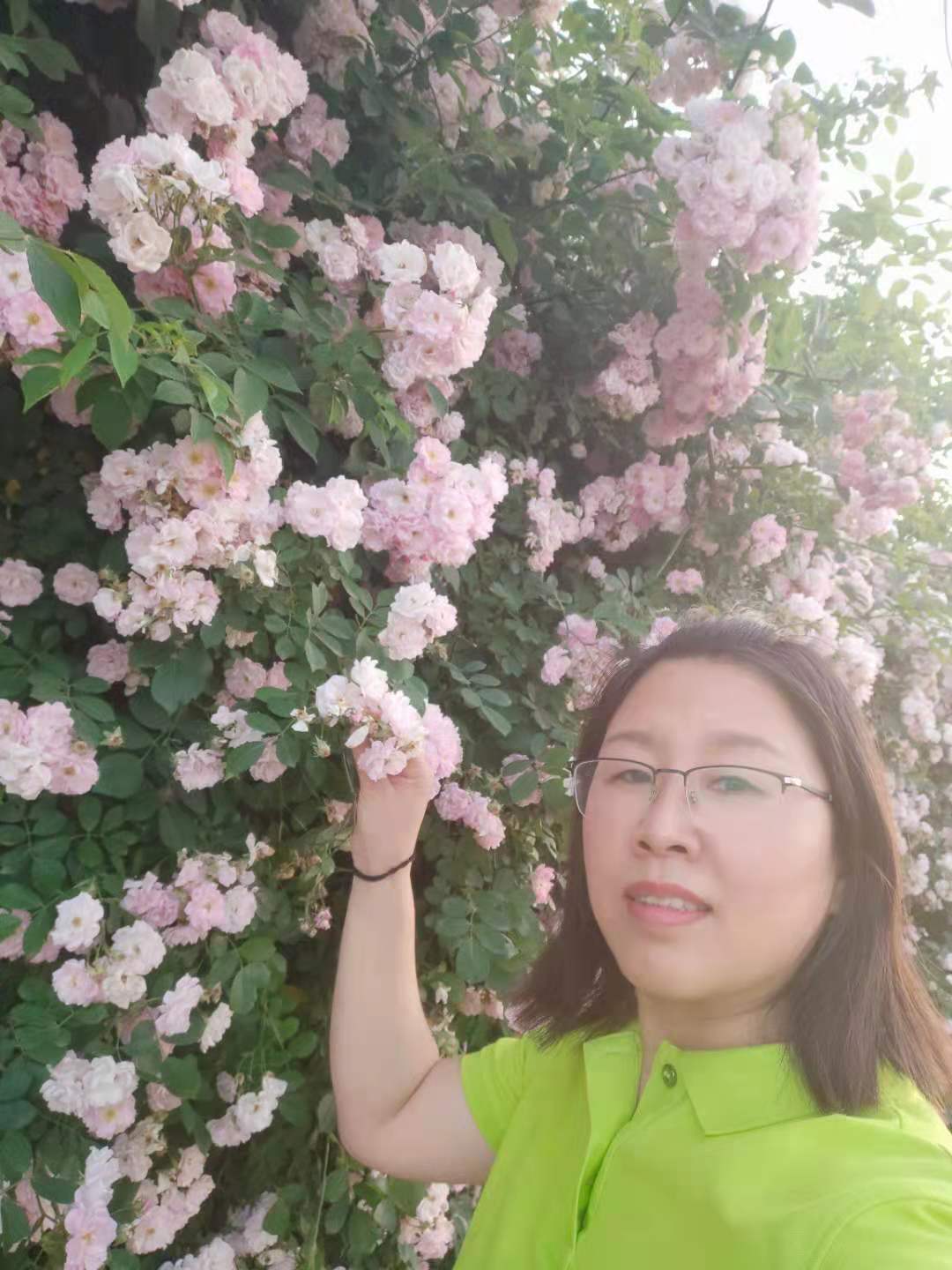 痴心一片终不悔只为桃李竞相开——新时代灵璧县西关小学优秀教师群像