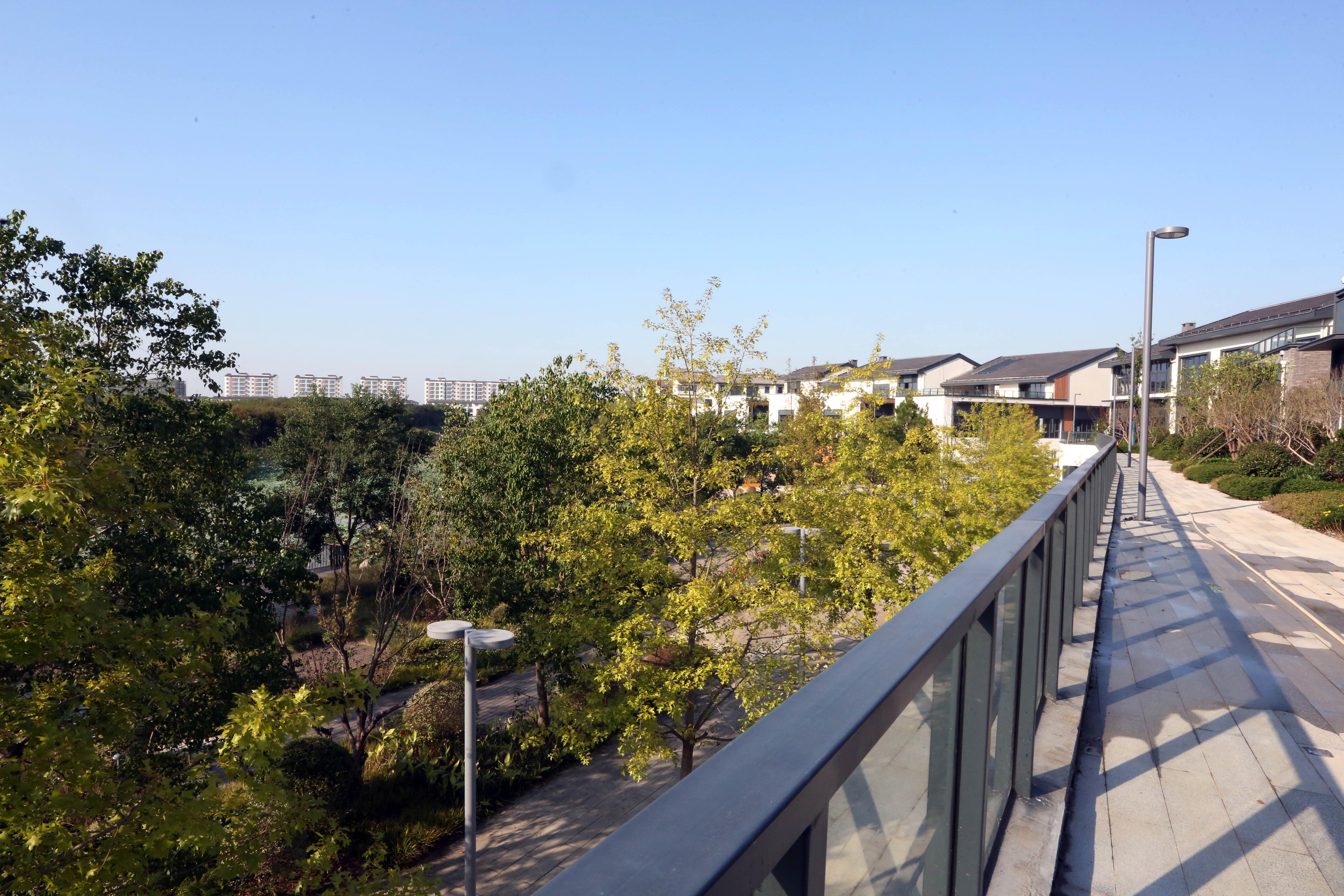 嘉善县委书记洪湖鹏,洪湖鹏任嘉善县委书记