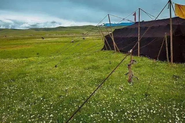 2020年10月3号雅康高速路况,雅康高速10月1号的路况