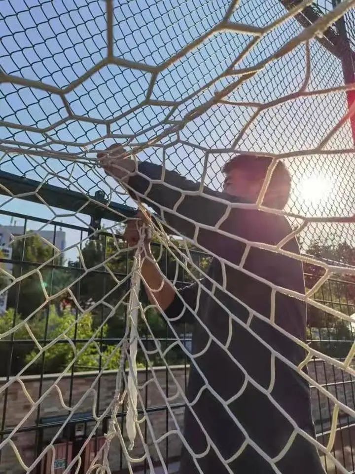 省体时隔9年再亮相,“圣体”展现新活力