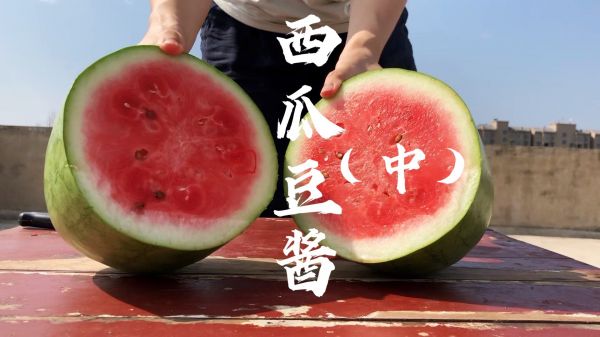 山东酱豆传统西瓜酱制作的全过程,西瓜豆酱和黄豆酱有什么不同