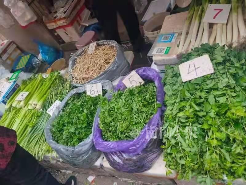 柳州现在什么青菜便宜,柳州青菜贵