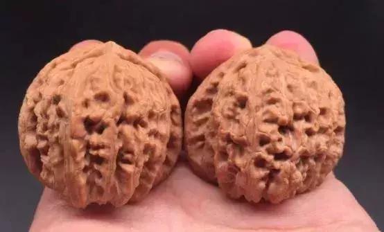 文玩核桃什么品种最好,全部文玩核桃大全