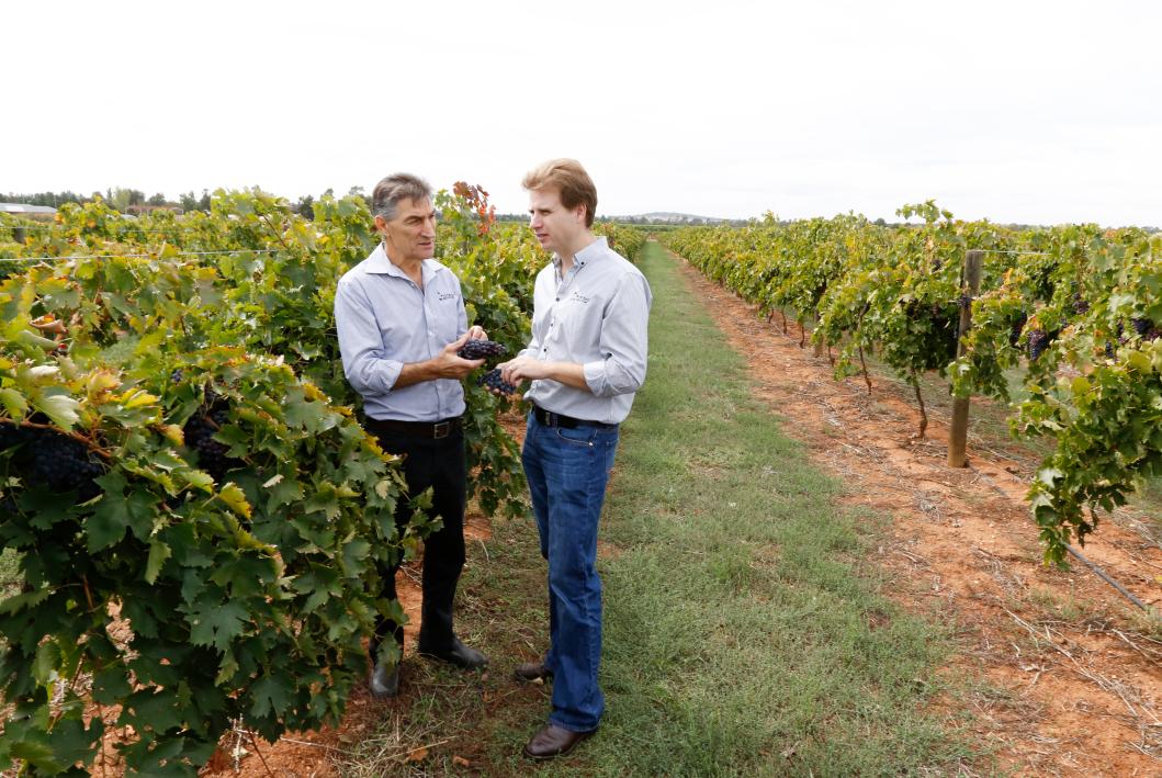 雅如歌庄园，如歌岁月的葡萄园