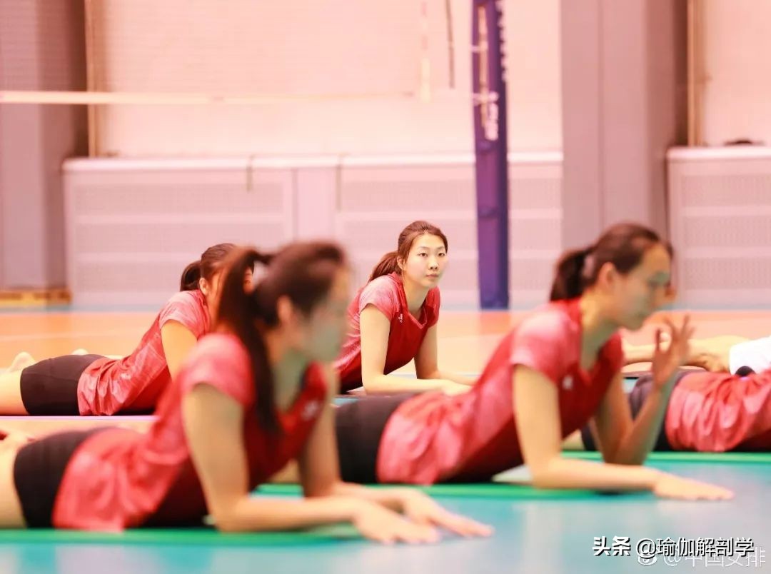 女排美女运动,中国女排美女热身视频