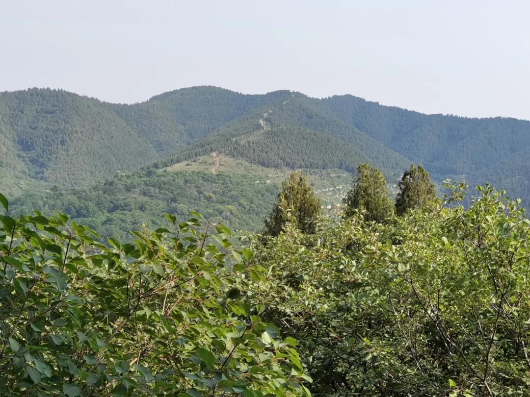 济南张家界自驾游路线推荐攻略,藏在济南市区的世外桃源