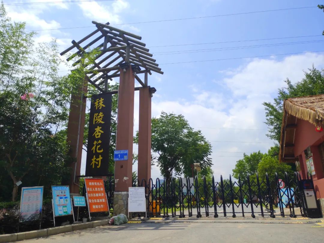 用36张照片记录我们的2022,我们用照片记录青春