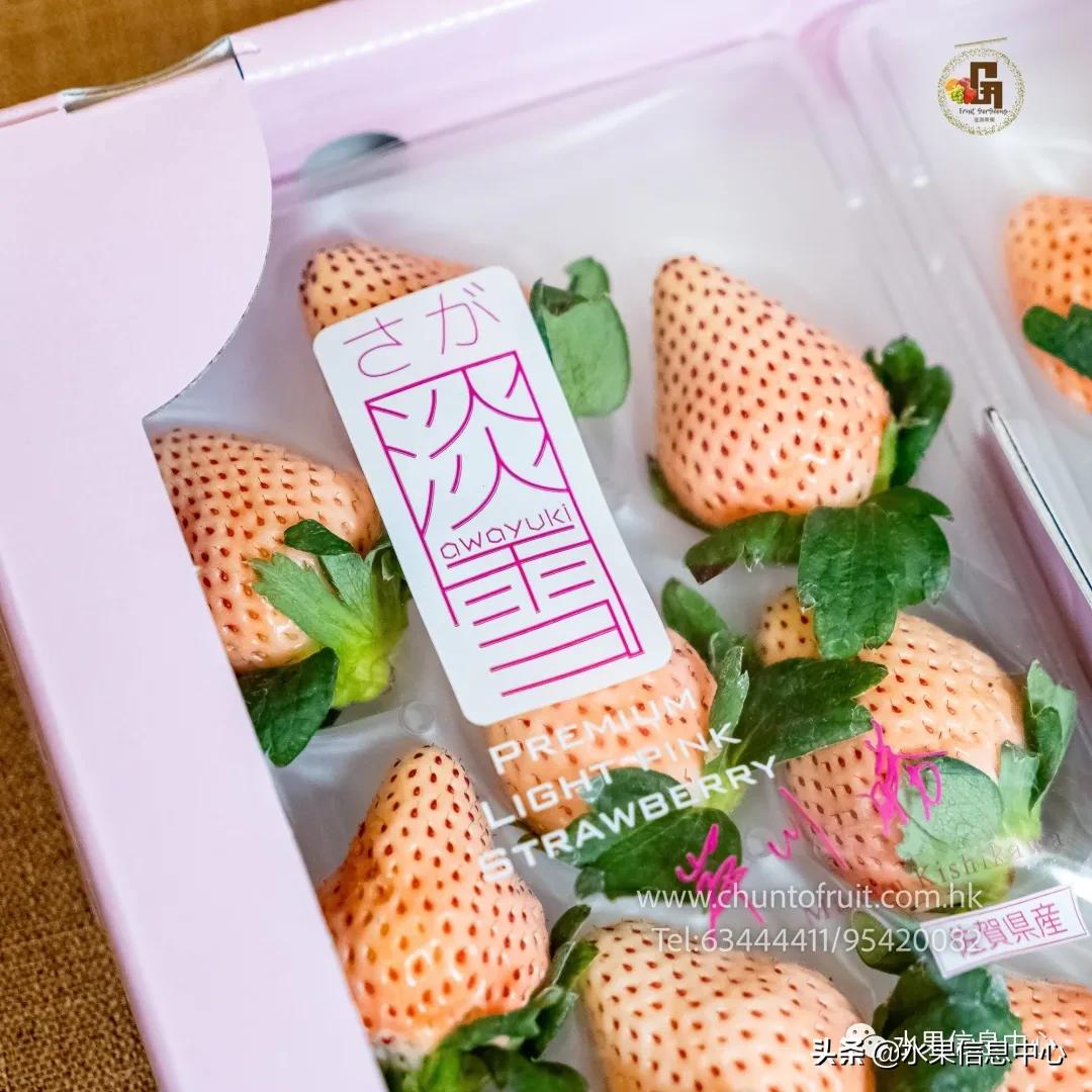 进口水果生意年入千万,批发水果月入百万