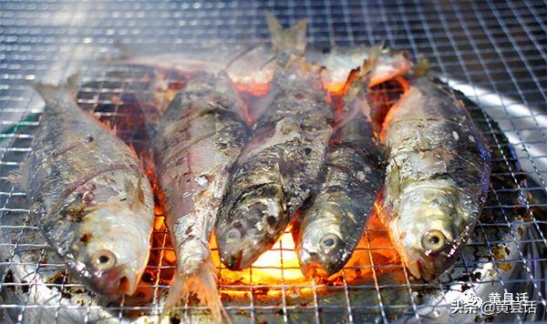 在海边很便宜的海鲫鱼（斑鰶），在日本却卖到几千块钱一斤