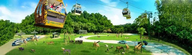 广州长隆1大1小亲子票大马戏,广州长隆珠海亲子游旅游攻略