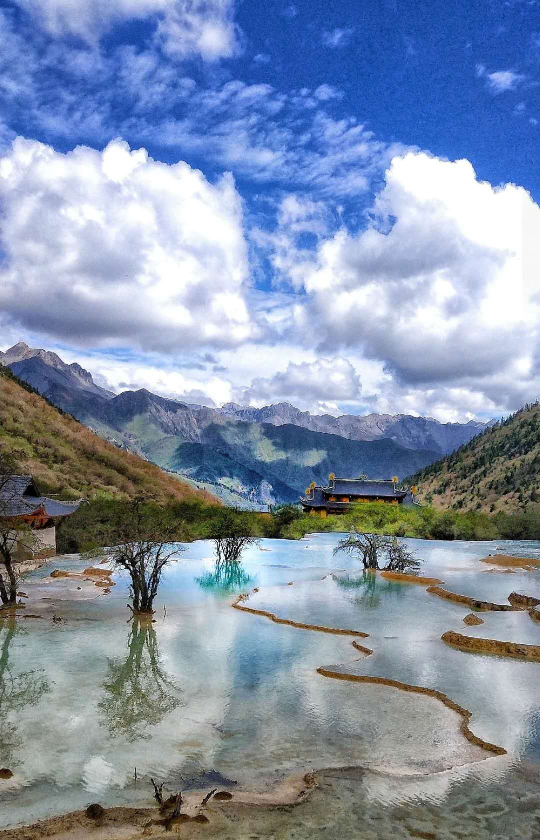 游览被誉为人间瑶池的四川黄龙,黄河之水天上来景区视频