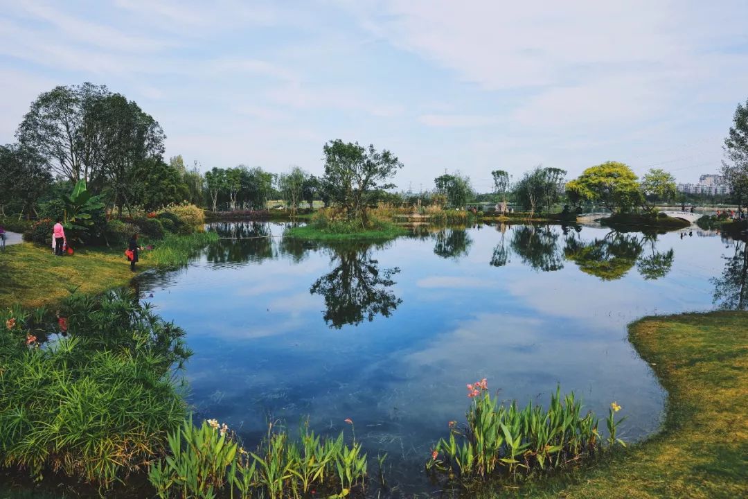 成都周末遛娃游推荐,遛狗公园成都