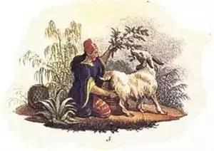 几个冷知识,这十个冷知识你知道几个呢