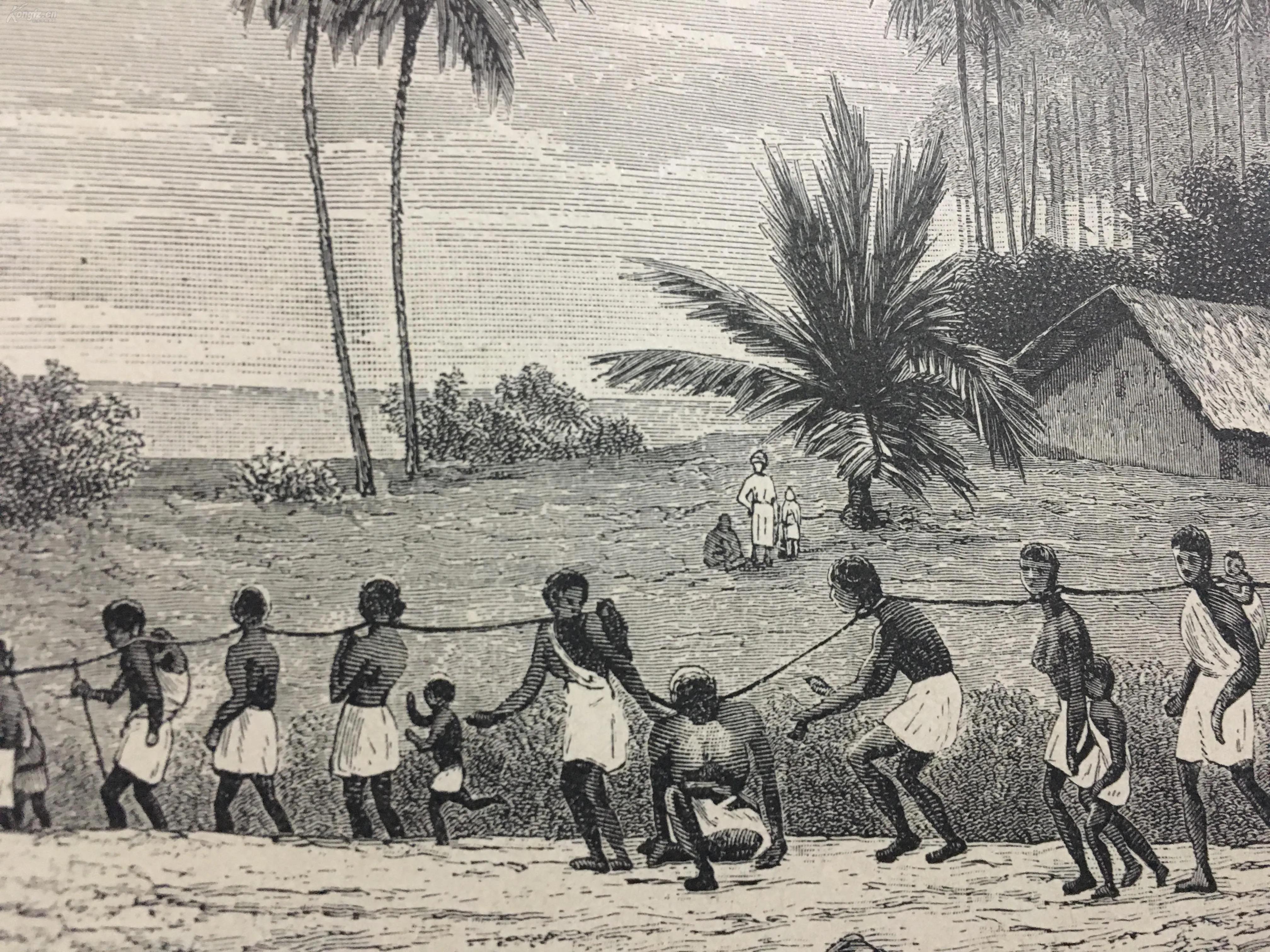 “非洲现状”！带您了解一个“狂野和真实”的非洲