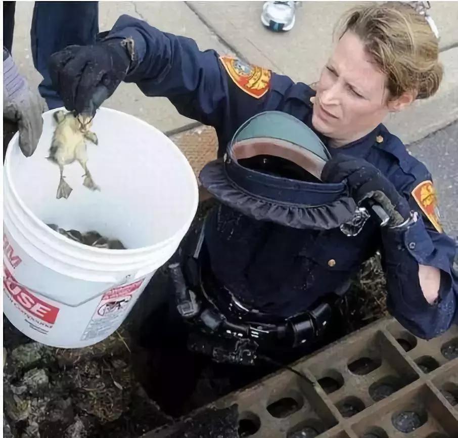 第一次当花童没有什么经验,第一次当花童没什么经验