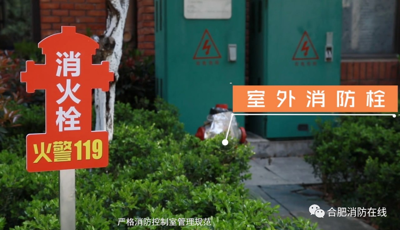 安徽合肥一小区发生的事,合肥小区事件最新消息