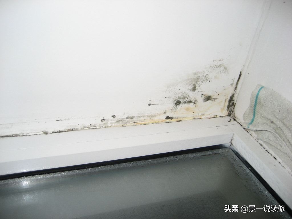 老房子墙面发霉发黑怎么处理,卫生间隔壁墙面受潮脱皮如何处理