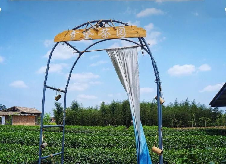 成都出发，一路向西的“旅行列车”年底开通！沿途好多……