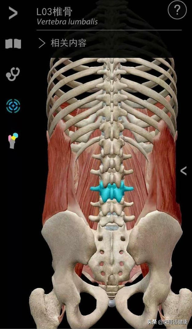 用3D来脊柱体表定位简单多了