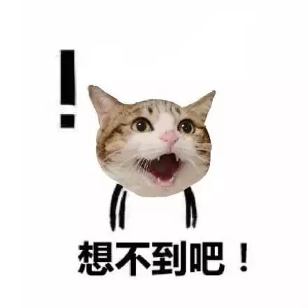 十大杀猪盘名单,中国十大杀猪盘