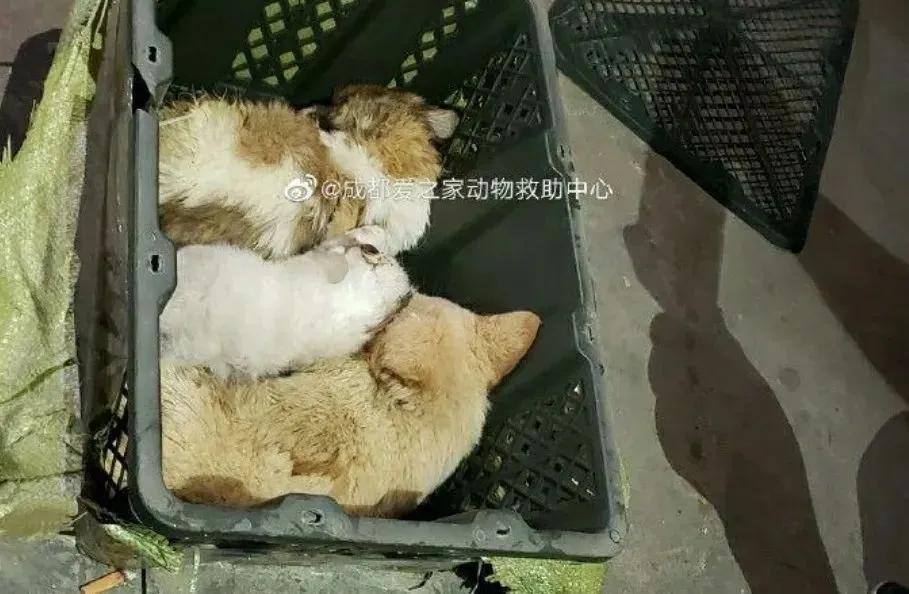 华尔街盲盒,美国华尔街的金融风暴