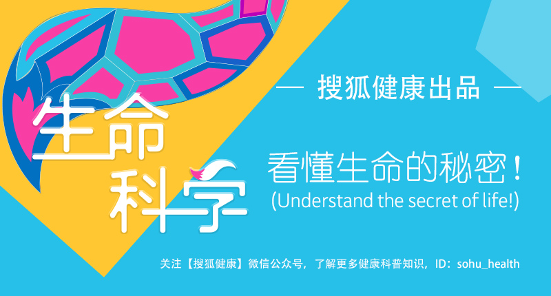 *生活性**前喝点酒,究竟助性还是败性?