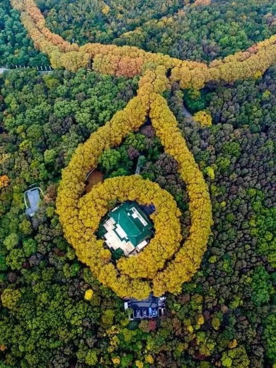 一到秋天南京就成了金陵,一入秋南京就成了金陵