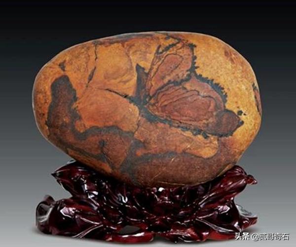 长江石芙蓉石,芙蓉石真实图片