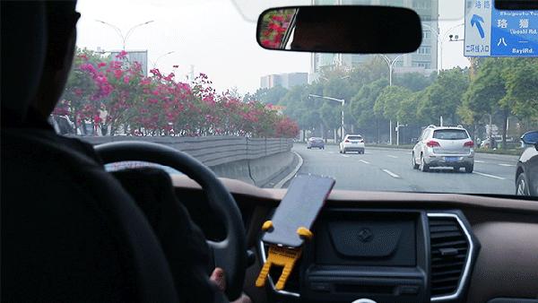 2019活出自己的模样,2019最后一天也是努力工作的一天