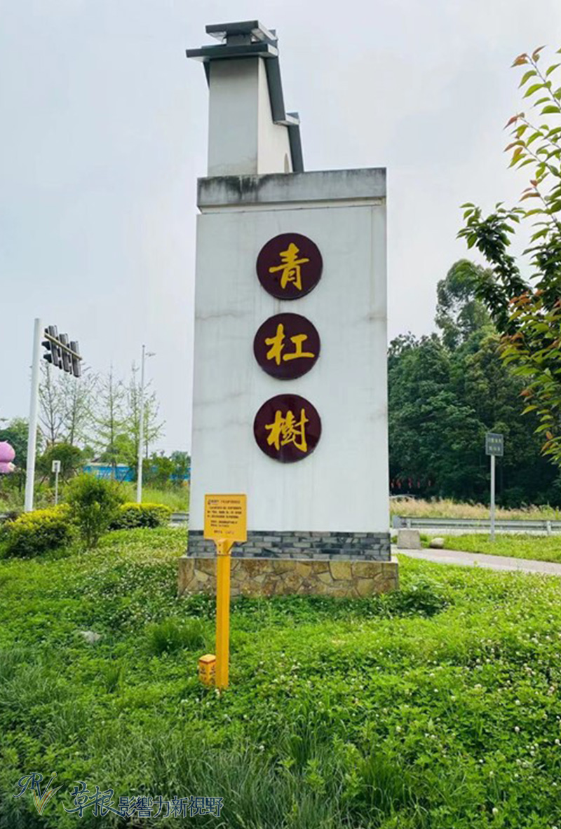 中国最美乡村竹子沟风景区,中国四大顶级风景村