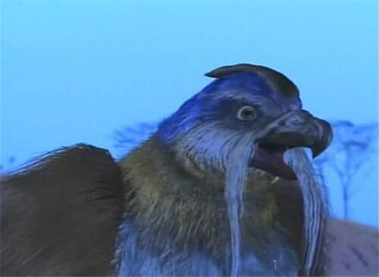 各版神雕侠侣中的大雕,神雕里面的雕结局