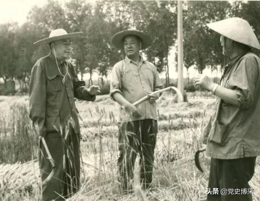 *德吴**作为毛主席信任的干部是怎样在“*革文**”初期引起注目的?